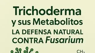 🌱 Триходерма и ее метаболиты: естественная защита от фузариоза 🌱