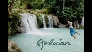 Audacious, LP4Y's Music Album (Teaser)