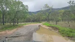 Bush Trip 