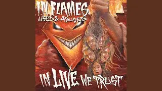 My Sweet Shadow (Live)