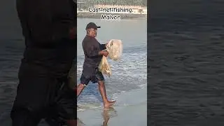 Cast net fishing near malvan fish market.