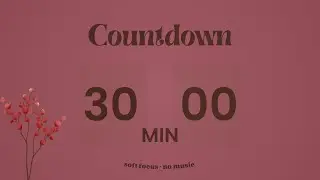 30 Min Soft Focus Timer ⏳ Silent Countdown | No Music, Calm Aesthetic