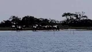 Video of Tom's Cove Park, VA from Sal V.