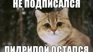 Почему нету видео
