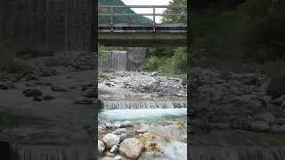 through the wild01 - DJI Mini 4 Pro #djicinematic #djimini4pro #dji