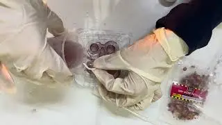 Easy Candle Making at Home 🕯️ | Simple & Aesthetic DIY