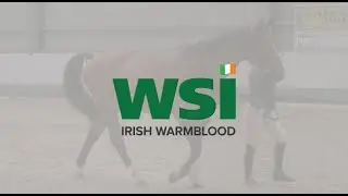 WSI Stallion Approval System