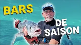pêche au bar en bateau : un printemps prometteur au jig