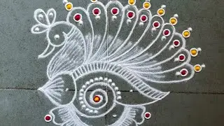 Latest sangu kolam|shanku rangoli design|peacock rangoli design|peacock with shanku rangoli
