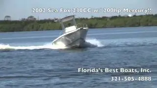 2002 Sea Fox 230 Center Console w/ 200hp Mercury