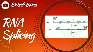 RNA Splicing || Molecular Biology || GATE || IITJAM || CSIR-NET || DBT-JRF || ICAR || ICMR || NEET