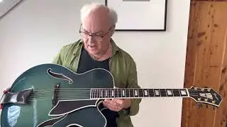 The Blue Guitars: Fender D'Aquisto Custom Ultra (by Stephen Stern)