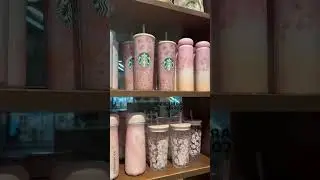 Starbucks Sakura / Spring Collection 2025 #sakura  #starbucks #cherryblossoms