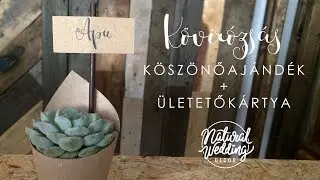 Kövirózsás köszönőajándék DIY || Natural Wedding Decor || Succulents wedding favor tutorial