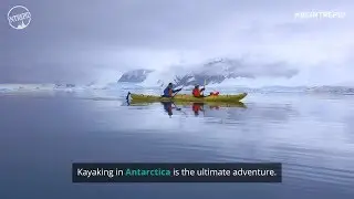 Kayaking in Antarctica