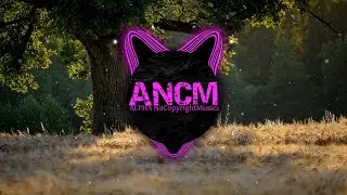 Jade Key & Alessia Labate - Tattoo [ANCM]