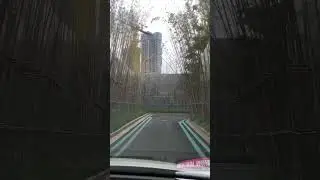 Driving through Bamboo in Nanning, China #china #bamboo #nanning #driving #asia #eastasia #zhongguo