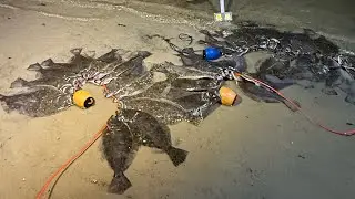 Flounder gigging lights. Best all around