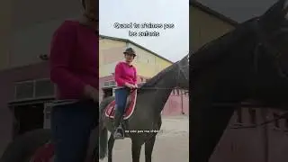 #entresesoreilles #cheval #repost #shorts #equitation #2021