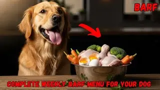 Complete Weekly BARF Menu for Your Dog&mdash;Simple, Nutritious, and Fresh