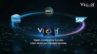 Vegah | Simplifying Enterprise Technology with SAP & Data Solutions #vegahllc #sap #sapsoftware
