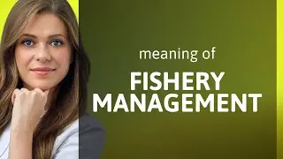 Understanding Fishery Management: A Deep Dive