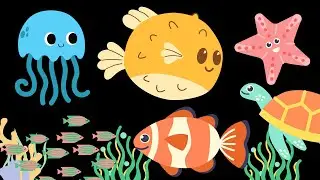 Baby Sensory Under the Sea Adventure | High Contrast | Visual Stimulation | Videos for Babies