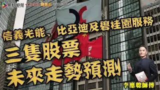 信義光能、比亞迪及碧桂園服務染藍！  3隻股票未來走勢預測！ 《李應聰風水命理》 合輯