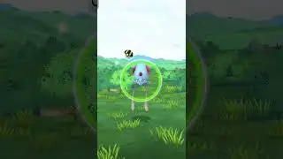 catching many Pokemon in the morning volpex Pikachu magicarp bulbasur #pokemon #augmentedrealitygame