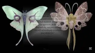 PART107 DEEP Subconscious Identity Dissolution &rsquo;SO POTENT&rsquo;