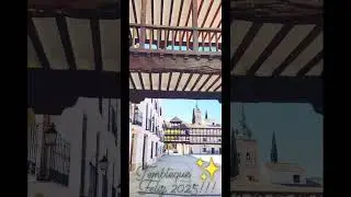&iexcl;Feliz 2025 desde Tembleque! Video creado por Victoria Conde.