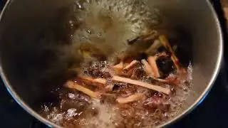How to Make Sassafras Tea Concentrate