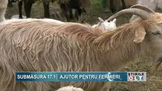 SUB-MEASURE 17 1 AID FOR FARMERS