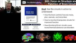 Keynote Presentation: Updates from the NIH BRAIN Initiative