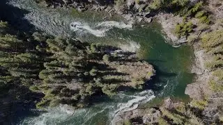 Shuswap River run 2025