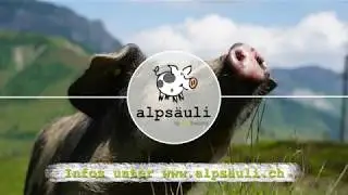 KAGfreiland Alps&auml;uli und der Futterautomat