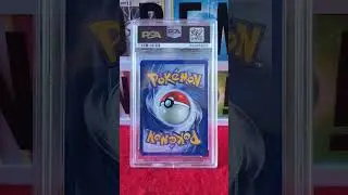 PSA Reveal 2000 Pokemon Gym Heroes Set 1st Edition Misty's Poliwag 87/132 Water Nintendo Wizards