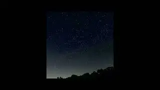 oliver tree - universal (slowed + reverb)