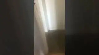 If glitches where in real life