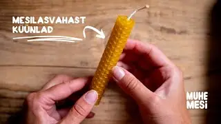 MESILASVAHAST K&Uuml;&Uuml;NALDE MEISTERDUSKOMPLEKT I MUHE MESI