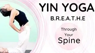 45 Min | Yin Yoga | Breathe through your Spine #yogaforspine #slowyoga