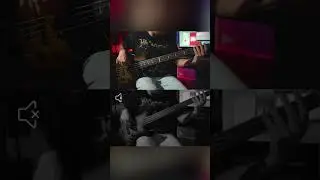 Fretless vs. Fretted Bass | Lumuria #Shorts