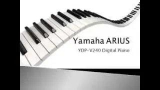 Yamaha ARIUS YDP V240
