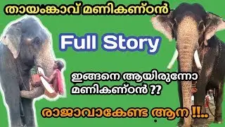 Thayamkavu Manikandan Full Story | തായംങ്കാവ് മണികണ്ഠൻ|  ഇടനീളം കൂടുതൽ ഉള്ള ആന | Kerala Elephant