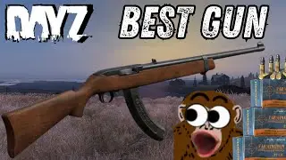 Why The Sporter 22 Is The BEST Gun In Dayz