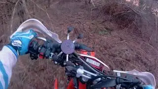 Beta 480 RR