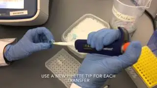 DNA barcoding