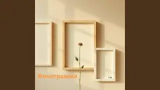 Фонограммы