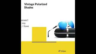Stylish Shades