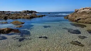 Pacific Grove Scenic Shoreline ~ Looking for the John Denver Memorial 